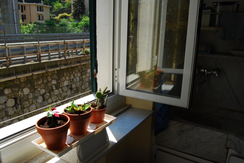 cucina_01.jpg