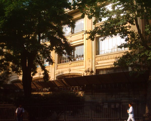 Photograph